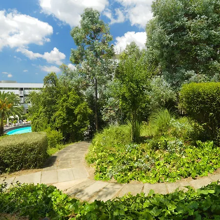 Cardo Roma, Autograph Collection 4*